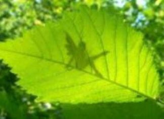 Sachez que s’il y a destruction c’est pour mieux reconstruire derrière